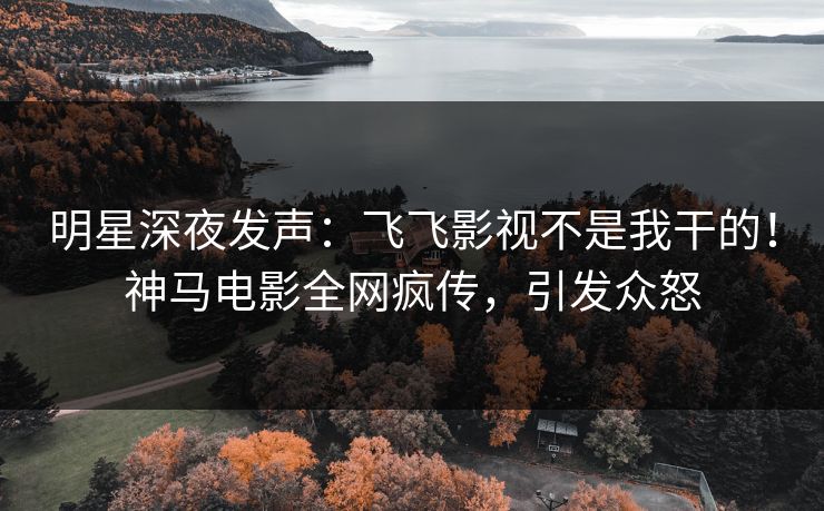 明星深夜发声：飞飞影视不是我干的！神马电影全网疯传，引发众怒