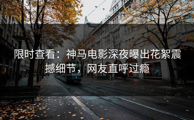 限时查看：神马电影深夜曝出花絮震撼细节，网友直呼过瘾